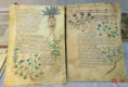 /album/svitky-mapy-hist-dokumenty-scrolls-maps-hist-documents/bga-86w145-4-jpg/